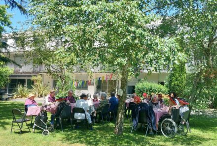 Déjeuners champêtres dans le parc en juin
