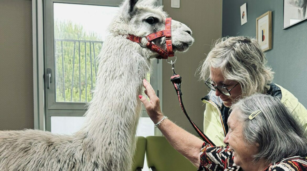 Le Village des animaux le 10 juin