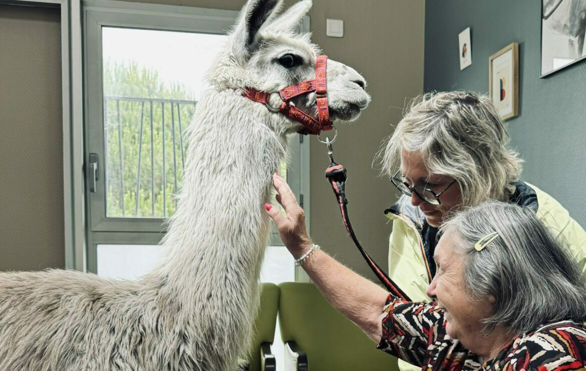 Le Village des animaux le 10 juin