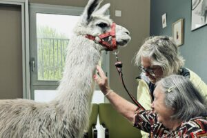 Le Village des animaux le 10 juin